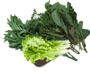 lẩu bún bò - rau rừng